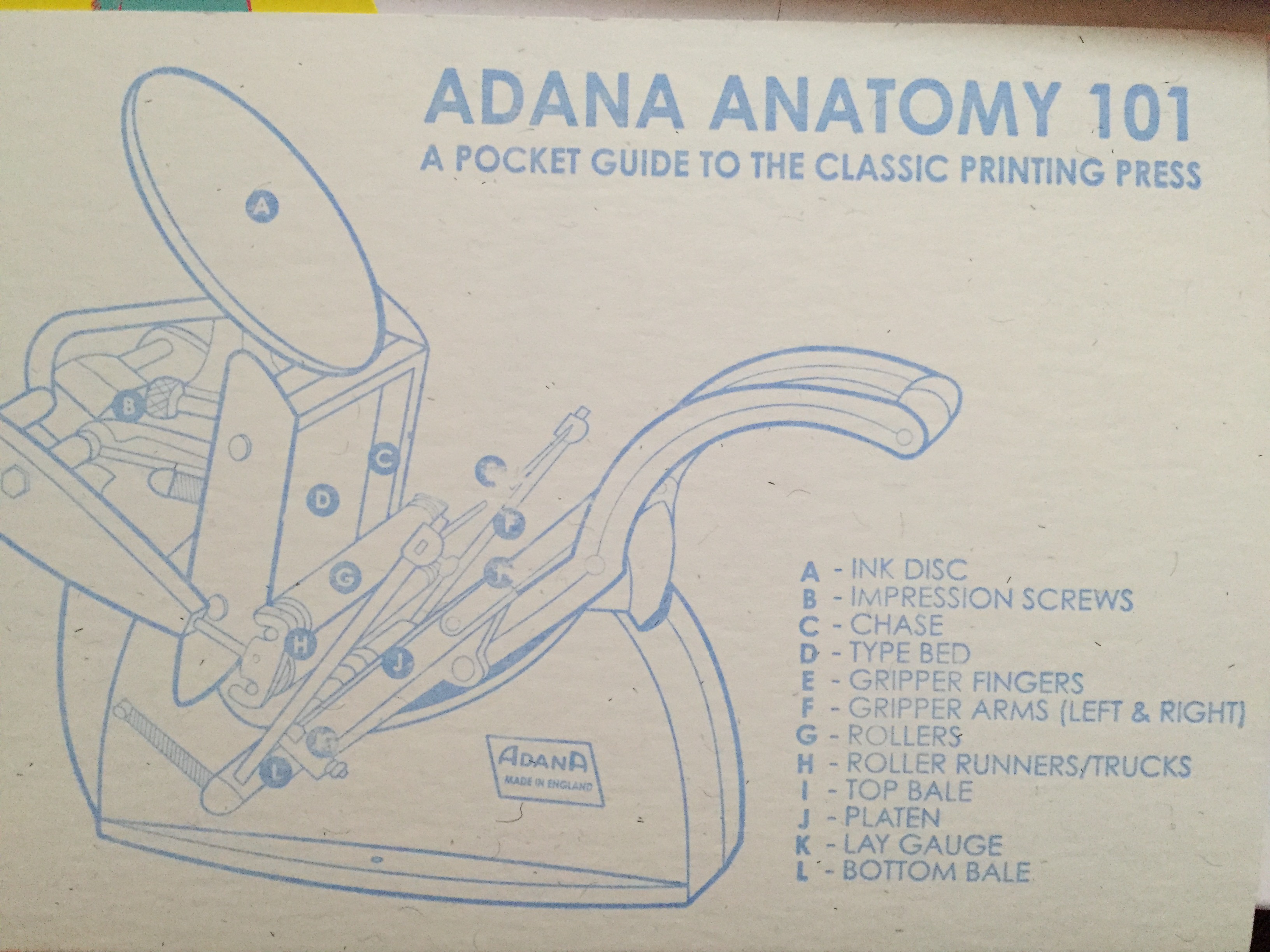 Adana Anatomy