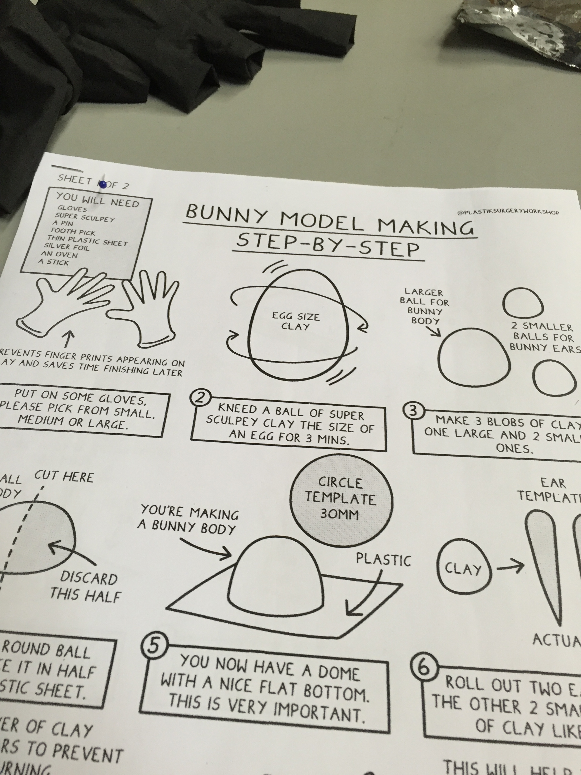 Bunny model guide